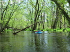IMG 4684